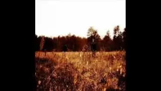 Senium - 