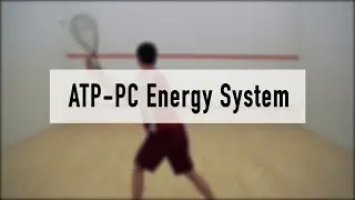 ATP-PC Energy System