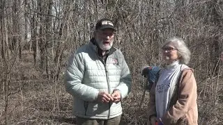 Group removes invasive plants from Lincoln Trail State Park
