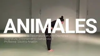 ANIMALES | Muestra de Segundo curso de la Diplomatura 2021/22