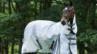 Fly Rug - The Fieldmasta Fly Rug | Fly Rugs for Horses
