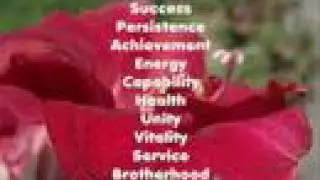 Qualities of Unconditional Love