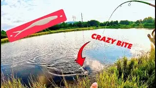 Catching AGGRESSIVE LATE SUMMER Bass! (TOPWATER STRIKES!)