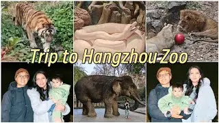 Pakistani Mama & Chinese Baba Take Baby to Hangzhou Zoo ~ Our Son's FIRST Zoo Trip! 🇵🇰❤️🇨🇳