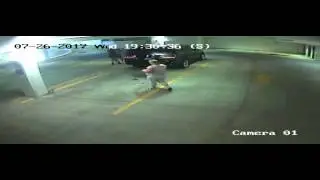NW 23RD CAR VANDLE 3