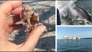 What to expect on a Shell Tour + Cape Romano Dome Homes. See all the sea shells we found on our tour