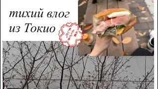 тихий влог из Токио