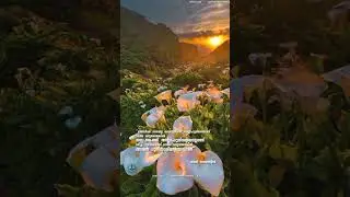 Sufi Thoughts