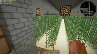 [ZilchLand] Ep 009 - Automating our Sugar Cane