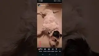 benny 187 instagram Story