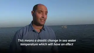 How heatwaves are threatening the Mediterranean