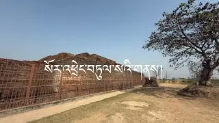 སོར་འཕྲེང་ཅན་བསྒོམས་རྒྱག་སའི་གནས་ཁྱད་པ་ཅན།#shravasti #tibetanbuddhism (angulimala stupa)
