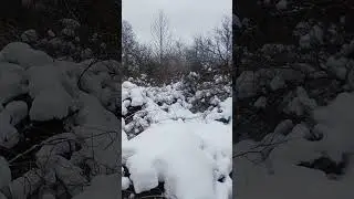 Enjoy life, go hiking  #snow #phike #pahikes