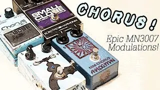 JAM Waterfall и Analog.Man Mini Chorus &mdash; плюс винтажный CE-2 и небольшой клон (AKA 
