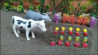 Fix mini diy fruits garden, make cow barn - house farming