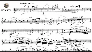 Louis Spohr – Violin Sonata No. 5, Op. 114 (1841)