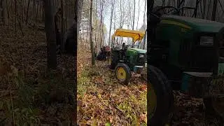 Real worriers of the world || #farmingworld #trending #trending #treecutting