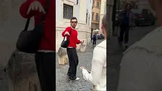 Harry Styles in Rome recently - October 22, 2025