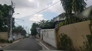 Birdsucker Lane | Kingston