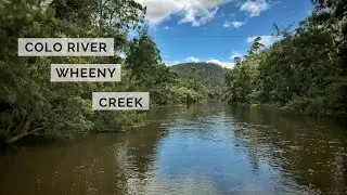 Colo river, Wheeny creek
