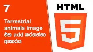 HTML Project 17 Step 07 | Terrestrial animals image එක add කරගන්නා ආකාරය
