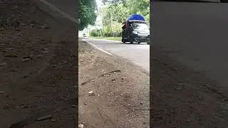Mobil pick up lagi gacor,, Muatan full#shortvideo #palingtop