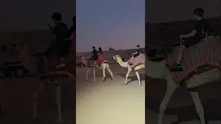 Camel Ride Dubai Desert Safari premium camp