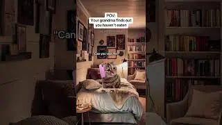 CAT MEMES 🐱Your grandma finds out you haven&rsquo;t eaten #catmemes #relatable #relationship