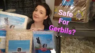 Gerbil Bedding 101 - Safe & Unsafe Gerbil Bedding Types