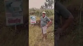 aplikasi glufo di sela sela cabe kecil gulma tuntas jos