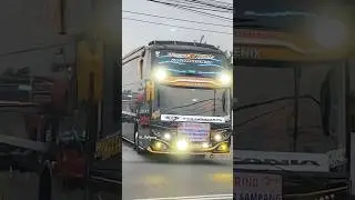 Mantap Basuri Bus Speed Jack #telolet #basuri #basurimania #busmania #buschlight #viralshort