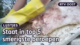 4x uitstervende ambachten in Overijssel | RTV Oost
