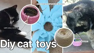 5 QUICK and EASY DIY cat toys that your cat will LOVE!