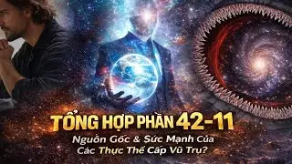 Tổng hợp phần 42 -11.#tiktok #haihuoc #dongvat #funny 