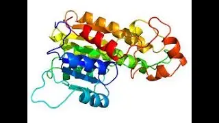 🎥 DAY 1 | Foundations of Protein Modelling