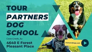 Partners Dog Training | Cave Creek Location Tour 2023