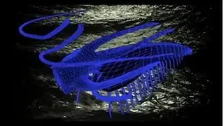 The Missing Links in the Fossil Record