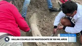 CENTINELA DEL MAR: HALLAN COLMILLO DE MASTODONTE DE 100 MIL A&Ntilde;OS