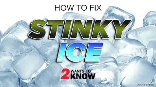 How to fix stinky ice | 2 Wants to Know