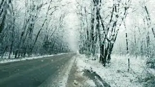 Gentle Rain Sounds On A Frozen Winter Forest, Soothing Winter Nature Sound For Sleep And Relaxation