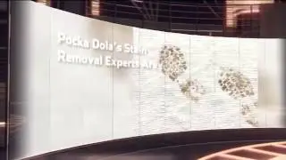 Stain Removal Melbourne | Pocka Dola