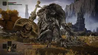 Level 1 Wretch - (No Hit) Erdtree Avatar // West Liurnia (Elden Ring)