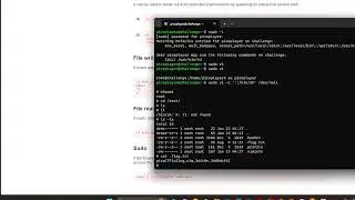 Linux Privilege Escalation! PicoCTF: Special