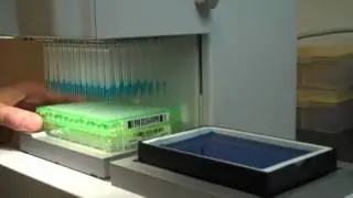 VIAFLO 96 & Seahorse Bioscience XF96 Flux Assay Kits