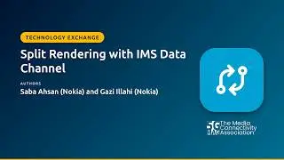 Split Rendering with IMS Data Channel - Technology Exchange