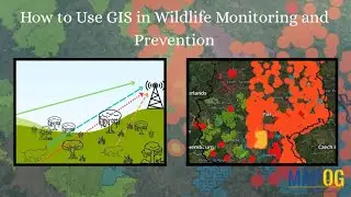How to Use GIS for Wildlife Monitoring and Prevention | MAPOG Tutorial #mapog #gis #smart #mapping