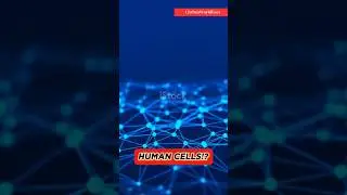 MIND-BLOWING FACTS ABOUT HUMAN CELLS!!!