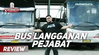 BISMANIA HARUS NONTON! Review Bis Mewah White Horse