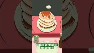 Cooking Mama Pancake Hamster ! #hamster #animation #cute #food #pancake #choose #cartoon #pet