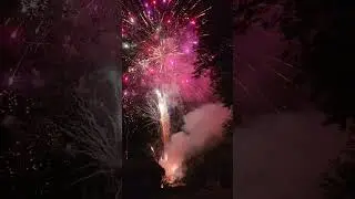 FREEDOM! Chaotic Backyard Arkansas Firework Show Finale! #shorts